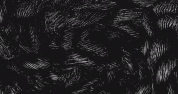 黑色背景下奇怪可怕的半身像之间的动画 传统和庆祝概念之间的恐怖 神圣的关系 — 图库视频影像
