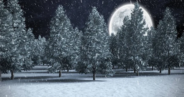 Imagen Nieve Cayendo Sobre Paisaje Nocturno Invierno Con Abetos Navidad — Foto de Stock