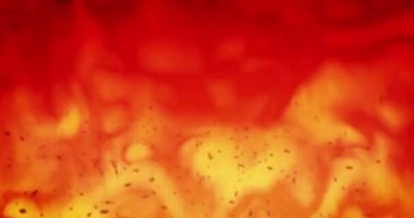 Cadılar bayramında kıvılcımların ve yanan ateşin animasyonu. Korku, korku, cadılar bayramı geleneği ve dijital olarak üretilen video konsepti.