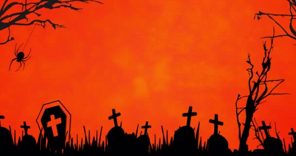 在橙色背景下的蜘蛛和墓地之间的动画 传统和庆祝概念之间的恐怖 神圣的关系 — 图库视频影像