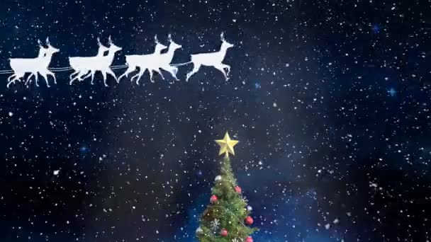 Animation Snow Falling Christmas Tree Sledge Raindeer Black Background — Stock Video