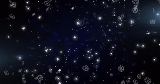 Animación Copos Nieve Estrellas Cayendo Sobre Fondo Negro — Vídeo de stock