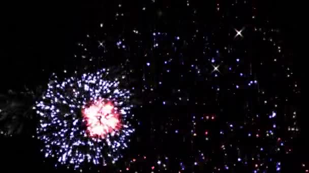 Animación Feliz Diwali Sobre Fuegos Artificiales Sobre Fondo Negro Diwali — Vídeos de Stock