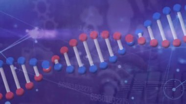 Mor zemin üzerinde DNA iplikçiklerinin dönmesi ve veri işleme animasyonu