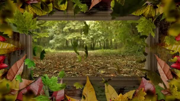 Animation Von Wald Und Fallenden Blättern Blattrahmen Herbst Jahreszeiten Natur — Stockvideo