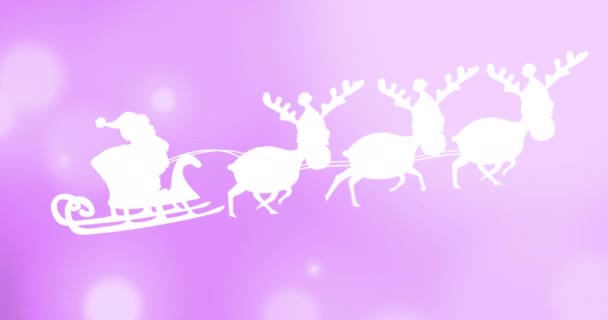 Animation Des Weihnachtsmannschlittens Über Lichter Auf Rosa Hintergrund — Stockvideo