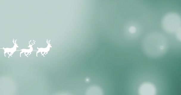 Animacja Santa Sań Nad Światłami Zielonym Tle — Wideo stockowe