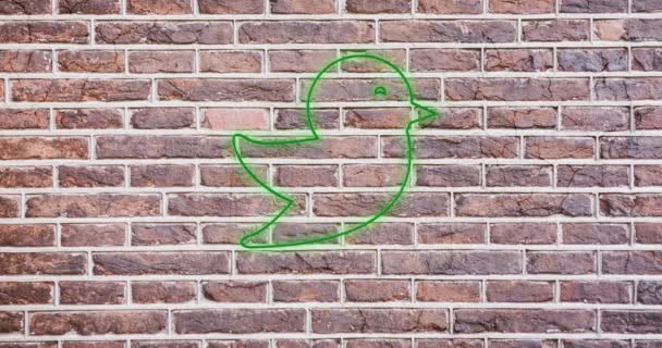 Animation Glowing Neon Bird Icon Brick Wall Social Media Communication — Stock Video