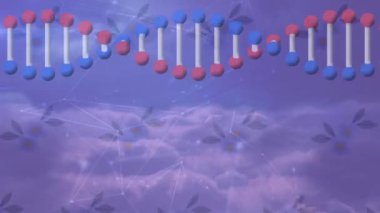 Mor zemin üzerinde DNA iplikçiklerinin dönmesi ve veri işleme animasyonu