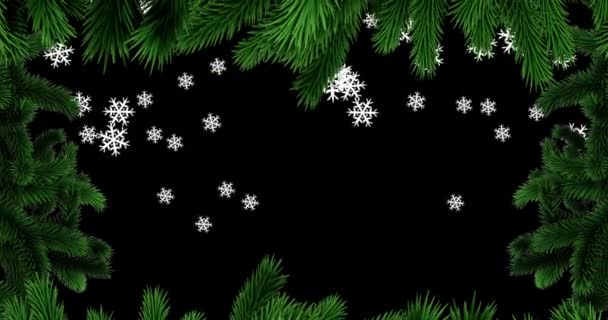 Animation Christmas Fir Tree Frame Snow Snowman Black Background Christmas — Stock Video