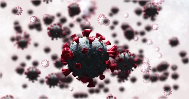 Animation Cellules Macro Coronavirus Filant Sur Fond Blanc Coronavirus Mondial — Video