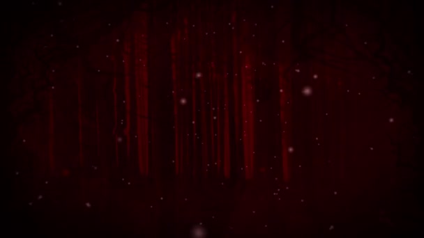 Animation Effrayantes Lumières Rouges Halloween Tombant Sur Fond Noir Tradition — Video