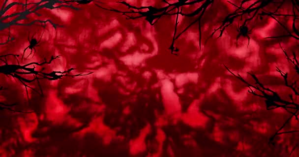 赤い波を背景にハロウィンのクモや木の枝のアニメーション ホラー ハロウィンの伝統とお祝いの概念デジタルで生成されたビデオ — ストック動画
