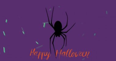 Portakallı mutlu cadılar bayramı metninin animasyonu örümceğin üzerinde ve yeşil ışığın üzerinde, mor arkaplanda. Cadılar bayramı, gelenek ve mevsimsel kutlama konsepti dijital olarak oluşturulmuş video.