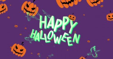 Mor arka planda turuncu balkabağı kafalarının üzerinde yarasalar olan ışıldayan mutlu Cadılar Bayramı metninin animasyonu. Cadılar bayramı, gelenek ve mevsimsel kutlama konsepti dijital olarak oluşturulmuş video.