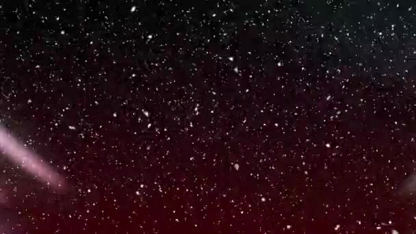 Animace Sněhu Padajícího Vánocích Nad Polární Září Vánoční Zimní Tradiční — Stock video