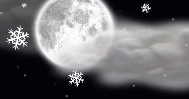 Animation Von Weihnachtsschneeflocken Die Der Nächtlichen Winterlandschaft Umfallen Weihnachten Tradition — Stockvideo
