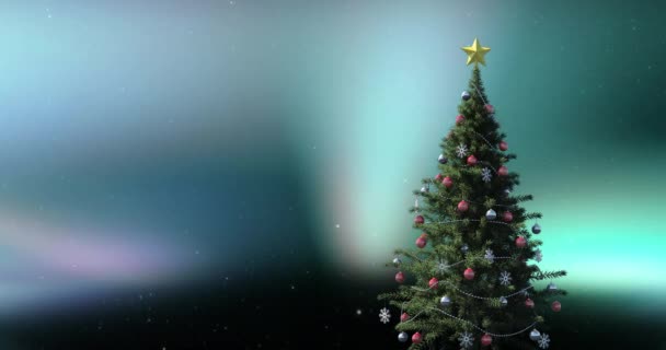 Animation Christmas Tree Aurora Christmas Winter Tradition Celebration Concept Digitally — Stock Video