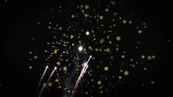 Κινούμενα Σχέδια Πυροτεχνημάτων Μαύρο Φόντο Νέο Έτος Festivity Και Εορταστική — Αρχείο Βίντεο