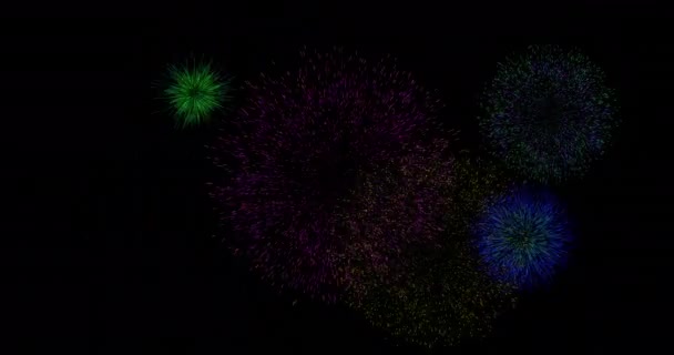 Animatie Van Kleurrijk Vuurwerk Dat Explodeert Zwarte Achtergrond Oudejaarstraditie Feestelijk — Stockvideo