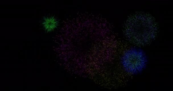 Animation Feux Artifice Colorés Explosant Sur Fond Noir Nouvel Tradition — Video