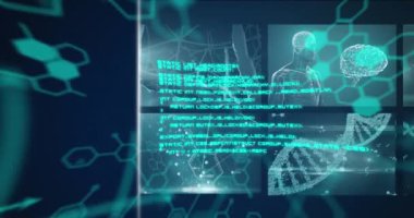 Mavi arka planda tıbbi veri işlemesi olan birden fazla ekranın dijital animasyonu. tıbbi araştırma ve teknoloji konsepti