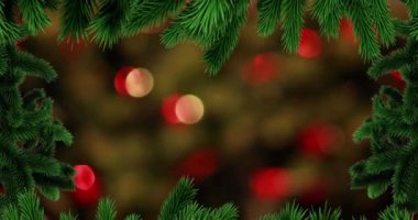 Işık lekeleri üzerine Noel 'de köknar ağaçlarının animasyonu. Noel, kış, gelenek ve kutlama konsepti dijital olarak oluşturulmuş video.