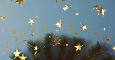 Mavi arka planda köknar dalına düşen noel yıldızlarının animasyonu. Noel, gelenek ve kutlama konsepti dijital olarak oluşturuldu.