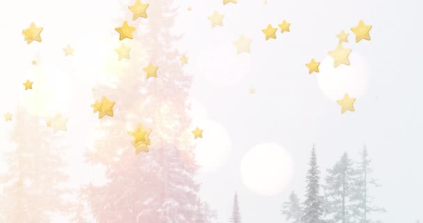 Animation Étoiles Tombant Sur Des Paysages Hiver Noël Noël Hiver — Video