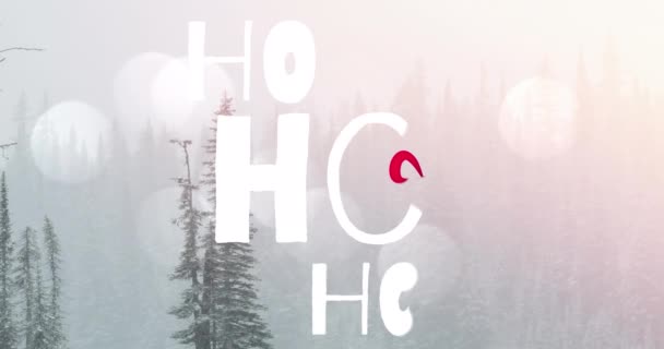 Animation Von Text Über Tannen Weihnachten Tradition Und Festkonzept Digital — Stockvideo