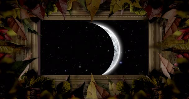 Animatie Van Maansverduistering Bladkader Herfst Seizoenen Natuur Overlijden Concept Digitaal — Stockvideo