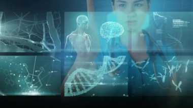Ekrana dokunan melez kadın doktrini üzerinden veri işleme animasyonu. Tıbbi ve sağlık hizmetleri iletişim teknolojisi konsepti dijital olarak oluşturulmuş video.