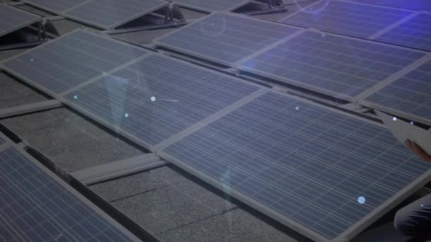 Animation Des Verbindungsnetzes Über Sonnenkollektoren Und Männliche Ingenieure Hintergrund Solarenergie — Stockvideo