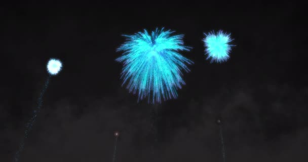 Animace Modrého Ohňostroje Explodujícího Černém Pozadí Nový Rok Oslavy Koncepce — Stock video