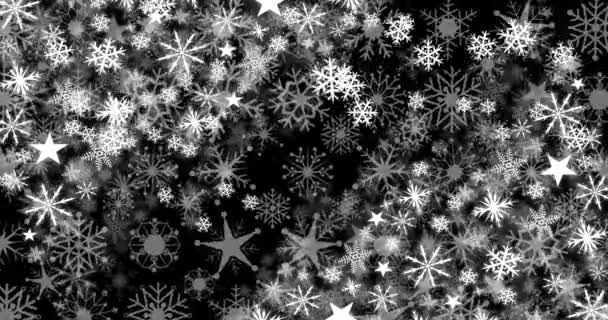 Κινούμενα Σχέδια Χιονιού Που Πέφτουν Μαύρο Φόντο Χριστούγεννα Χριστούγεννα Χειμώνας — Αρχείο Βίντεο