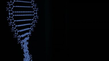 Siyah arka planda DNA ipliği üzerinde hücrelerin canlandırılması. Tıbbi ve sağlık hizmetleri iletişim teknolojisi konsepti dijital olarak oluşturulmuş video.