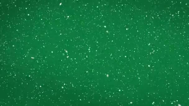 Animación Nieve Cayendo Sobre Decoraciones Navideñas Sobre Fondo Verde Navidad — Vídeos de Stock
