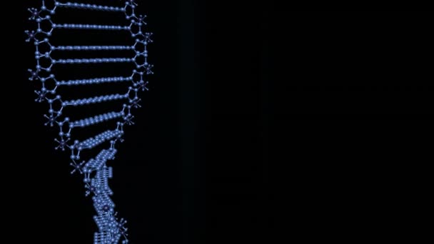 Animation Cells Dna Strand Black Background Medical Healthcare Services Communication — Stock Video