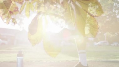 Güneş ışığı animasyonu ve erkek sporcu üzerindeki yapraklar dışarıda egzersiz için protez bacak hazırlıyor. spor, fitness ve doğa konsepti, dijital olarak üretilen video.