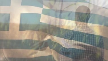 Yunan bayrağının buğday tarlasında dikilen erkek çiftçi üzerinde dalgalanması. Vatanseverlik, bağımsızlık ve tarım kavramı dijital olarak üretilen video.