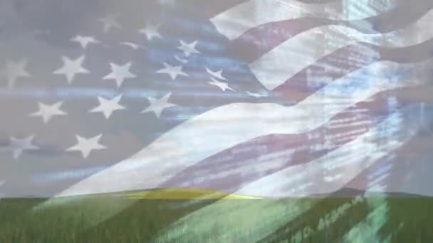 美国国旗的动画与绿地和数据处理 爱国主义 技术和农业概念数码视频 — 图库视频影像