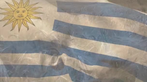 Animation Der Flagge Von Uruguay Die Über Einem Weizenfeld Weht — Stockvideo