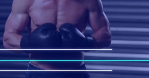 Animation Blue White Neon Lines Caucasian Male Boxer Warming Sport — Stock Video