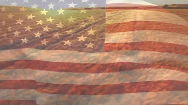 Animatie Van Vlag Van Amerika Waait Het Veld Van Tarwe — Stockvideo