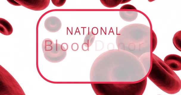 Κινούμενο Κείμενο Μήνα Δότη Αίματος Έθνους Πάνω Από Ερυθρά Αιμοσφαίρια — Αρχείο Βίντεο