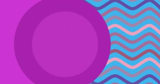 Animatie Van Paarse Cirkels Roze Paarse Golvende Lijnen Blauwe Achtergrond — Stockvideo