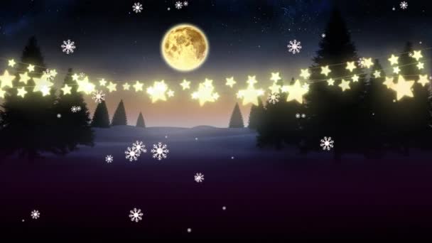 Animação Flocos Neve Caindo Noite Sobre Árvores Luzes Corda Estrela — Vídeo de Stock