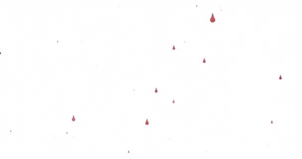 Animation Von Blutstropfen Die Auf Weißen Hintergrund Fallen Konzept Der — Stockvideo