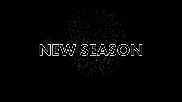 Animation New Season Text Fireworks Exploding Black Background New Year — Stock Video