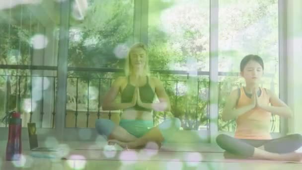 Kızıyla Birlikte Yoga Yapan Mutlu Beyaz Bir Kadının Üzerindeki Işık — Stok video